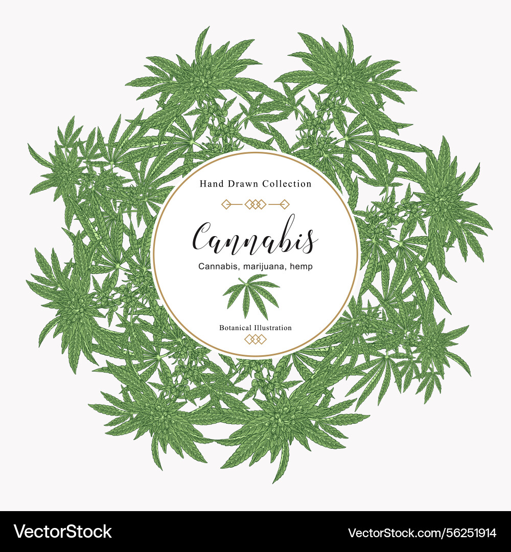 Cannabis background marijuana pant hand drawn Cannabis background marijuana pant hand drawn vector image