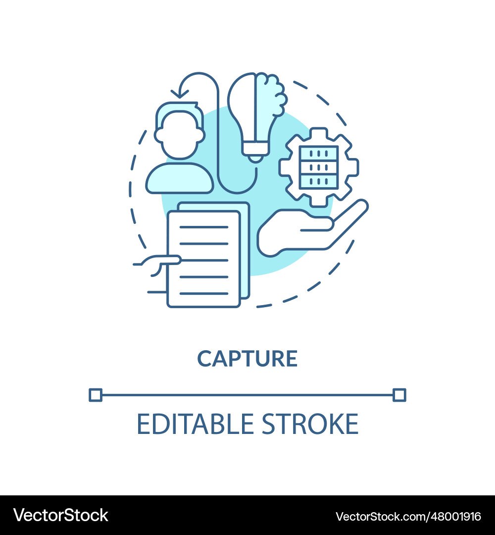 Customizable capture blue linear icon concept Customizable capture blue linear icon concept vector image