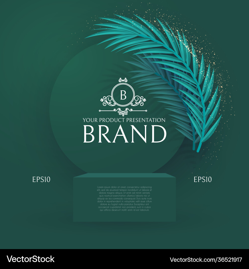 3d podium realistic minimal empty scene showcase 3d podium realistic minimal empty scene showcase vector image
