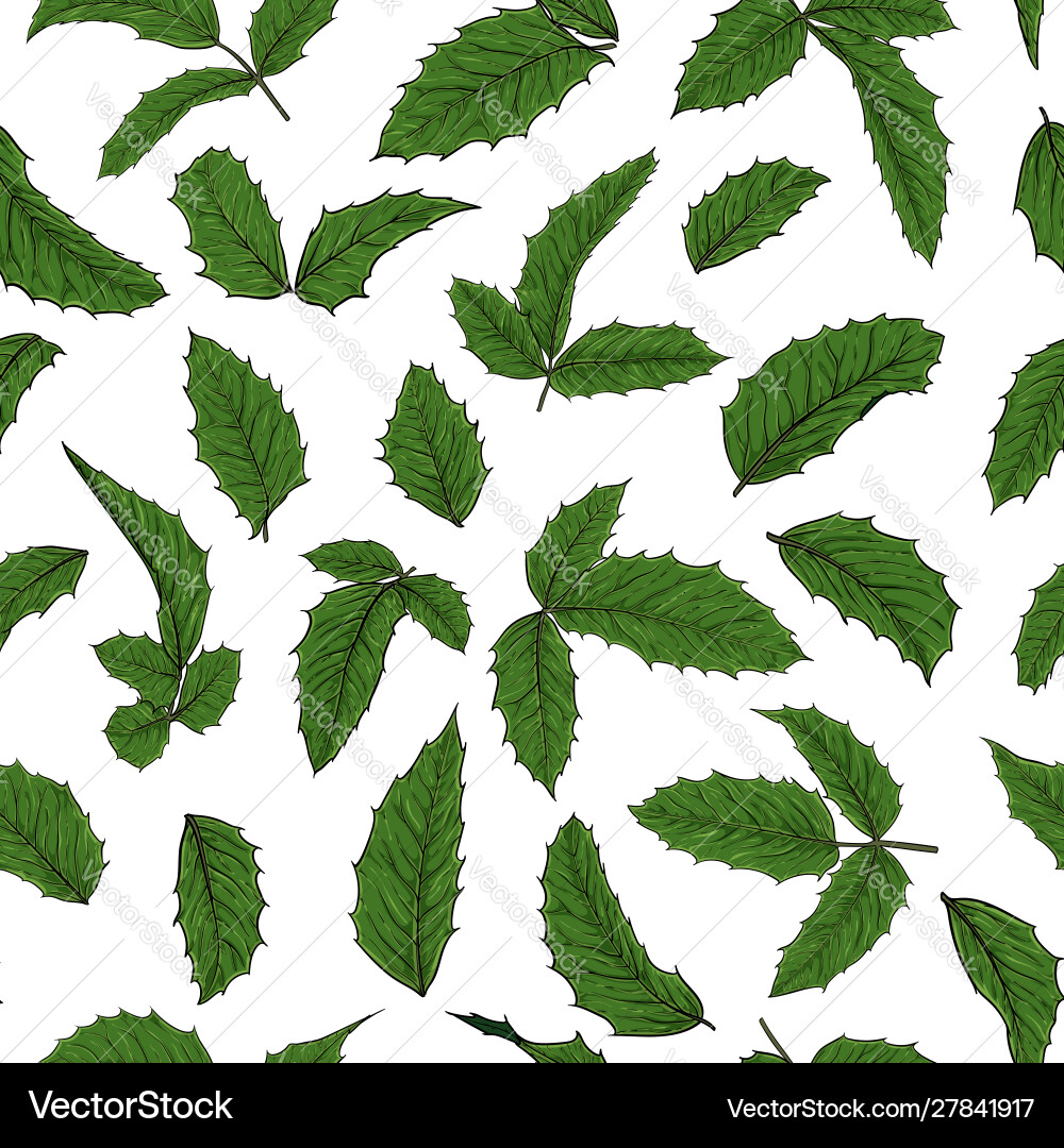 Nahtloses Muster holly ilex branch mit berry Nahtloses Muster holly ilex branch mit berry vektorbild