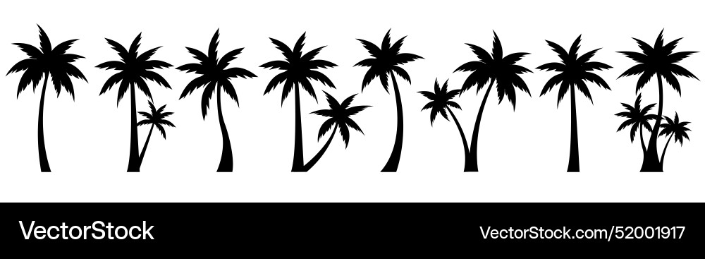 Palm tree big set isolated white background Vector Image