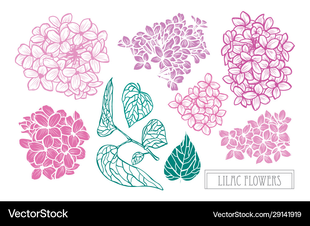 Hand gezeichnete Blumendekoration Hand gezeichnete Blumendekoration vektorbild