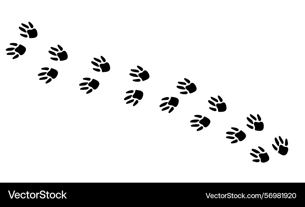 Hamster foot print animal paw vector image