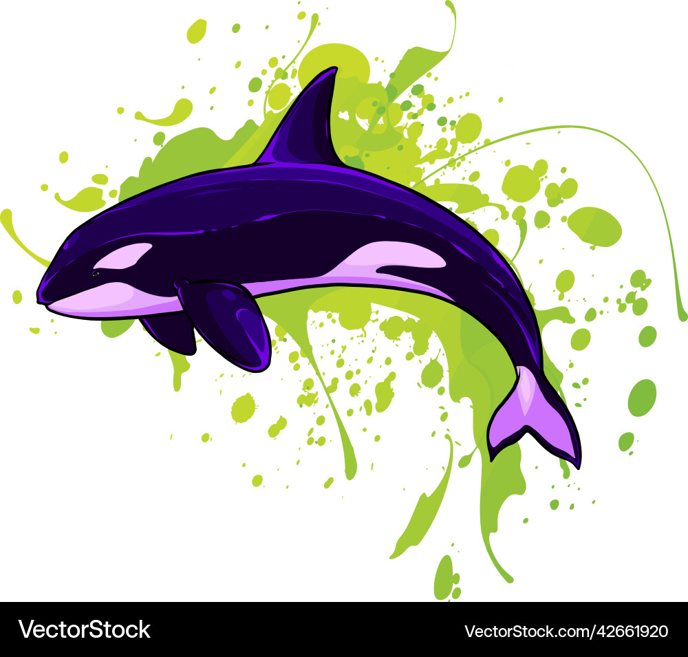 Killer whale spirit orca jumping – Royalty-Free Vector | VectorStock, image size:1000x955