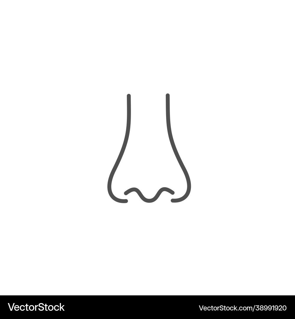Nose in linear style with editable stroke vector image