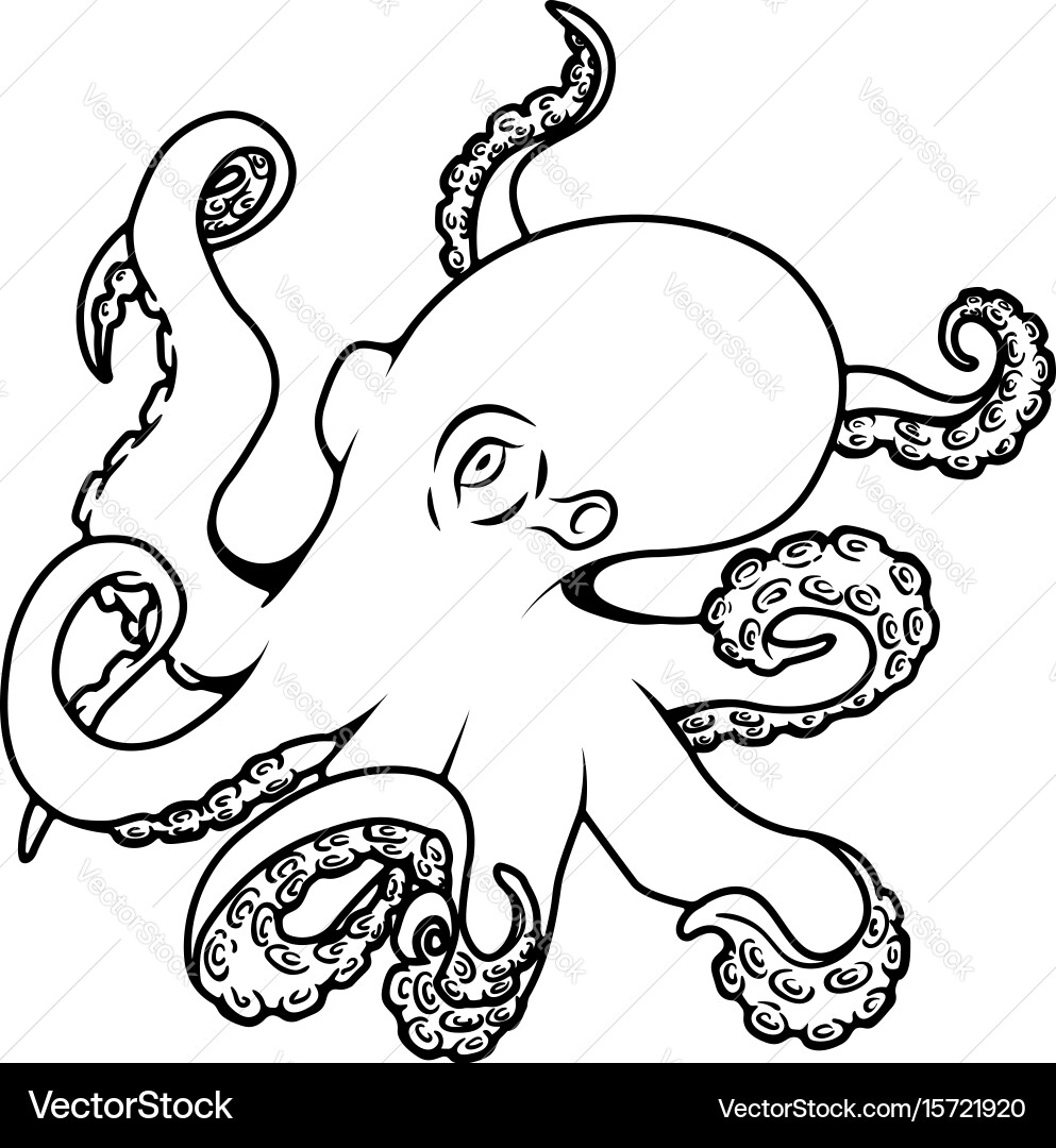 Octopus isolated on white background Royalty Free Vector