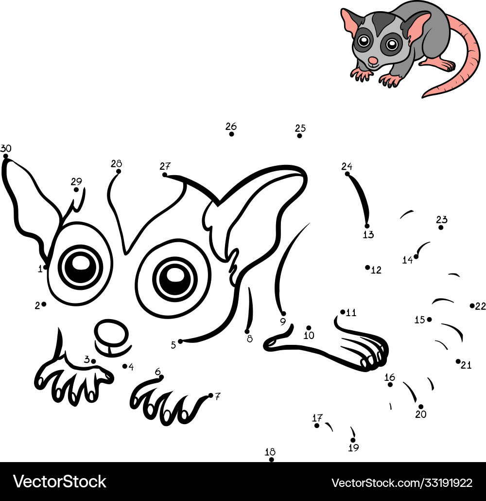 Numbers game possum Numbers game possum vector image