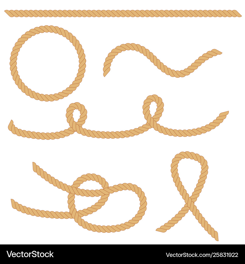 Rope in different shape Rope in different shape Vector Image