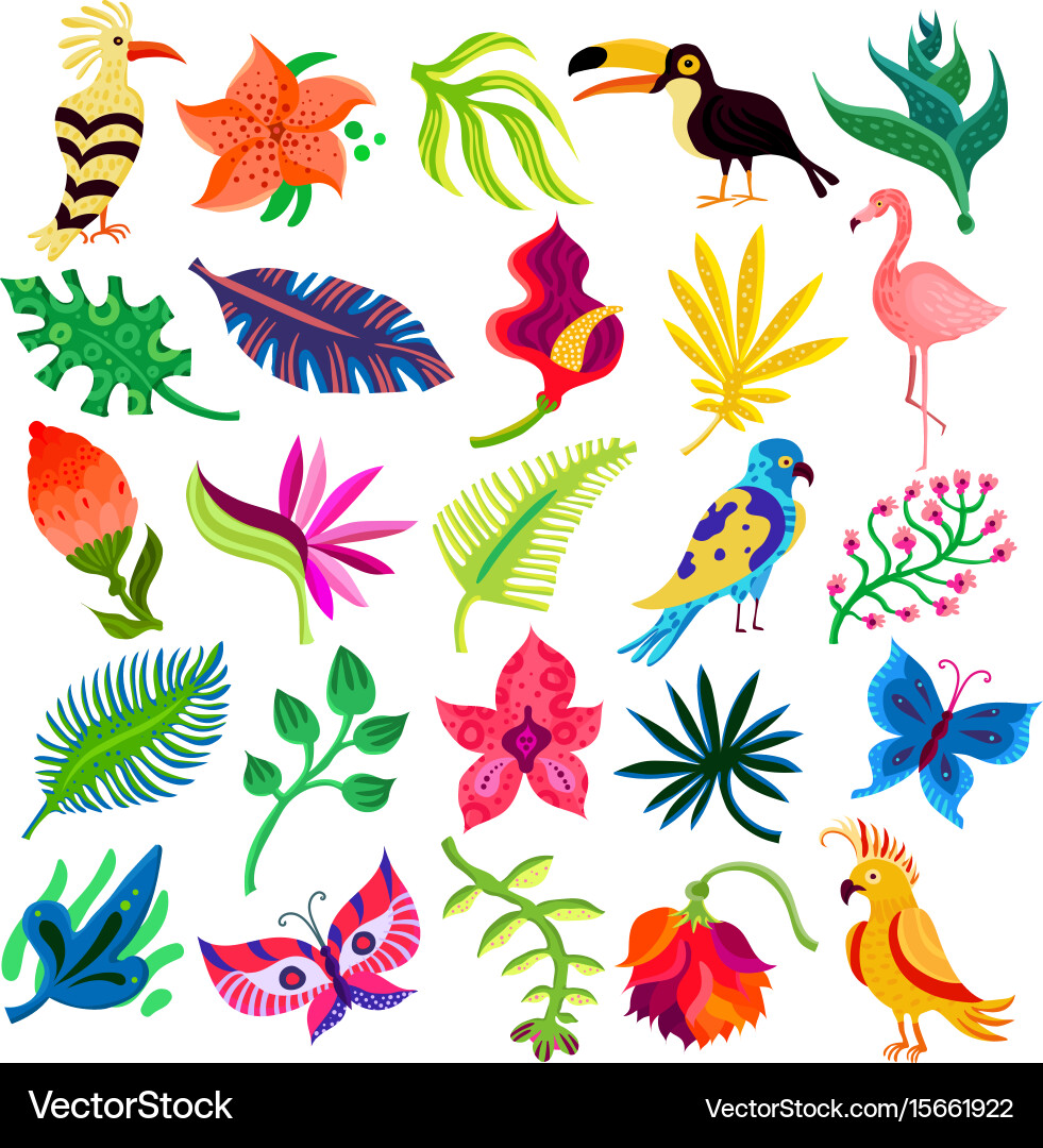 Tropical flora and fauna Vector Image