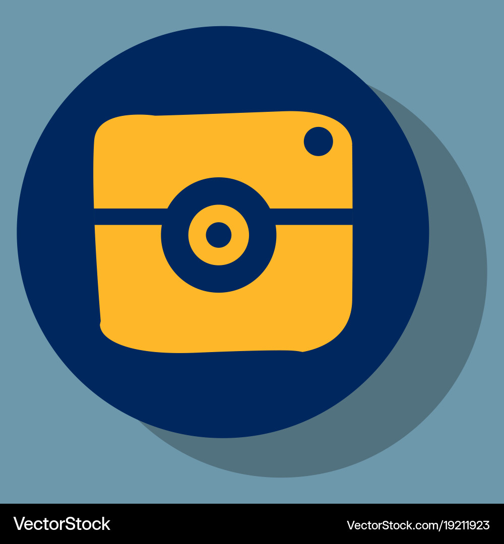 Flat web icon of modern lineart camera digital Vector Image