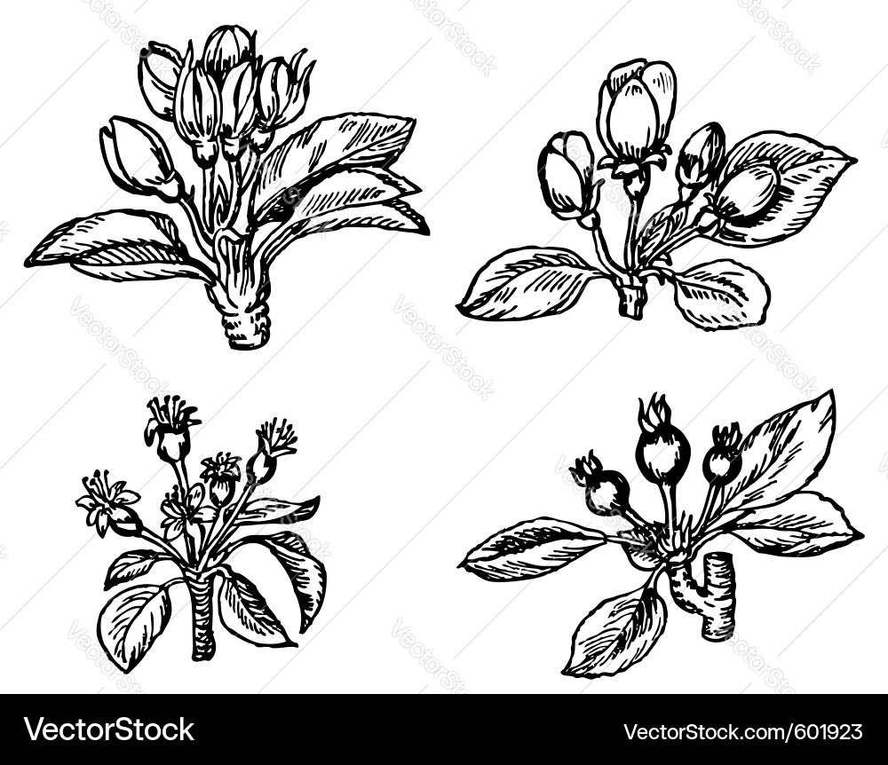 This image is a and can be scaled to any size Vector Image