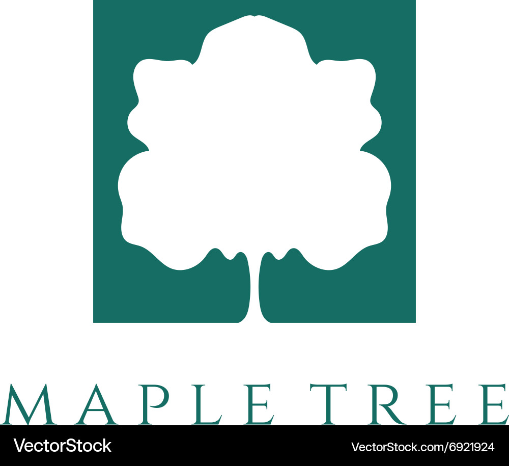 Abstract maple tree design template vector image