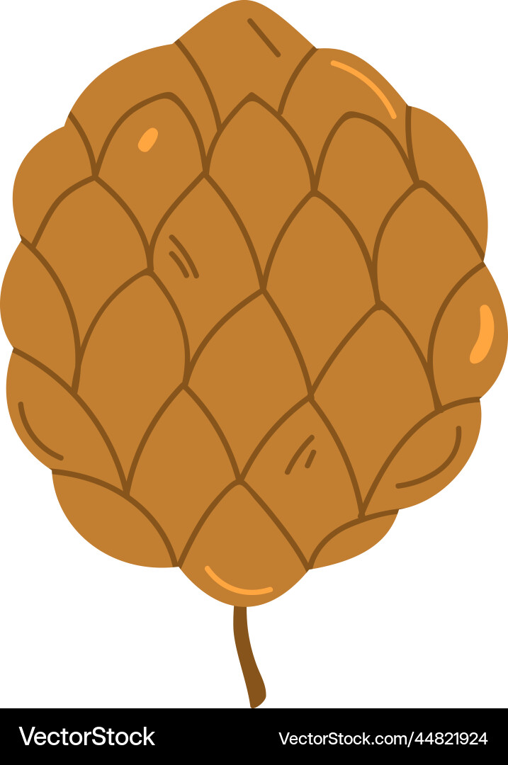 Acorn or pine tree cone Acorn or pine tree cone vector image