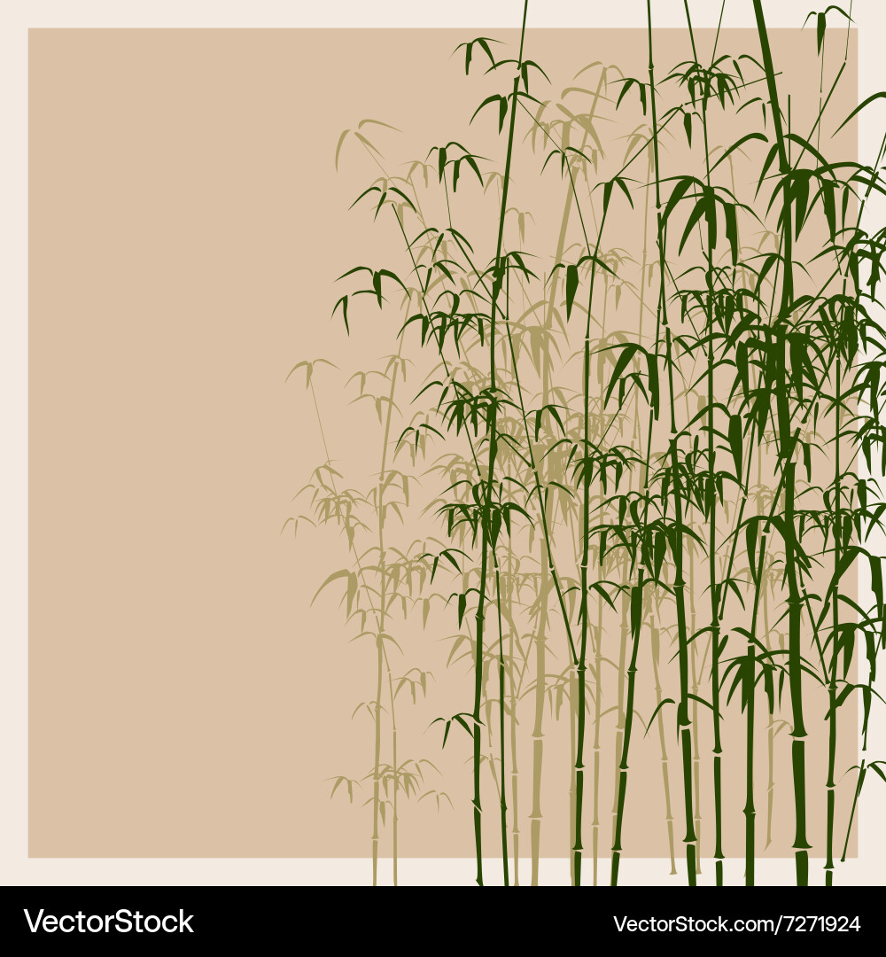Bamboo Pattern Background Vector Image