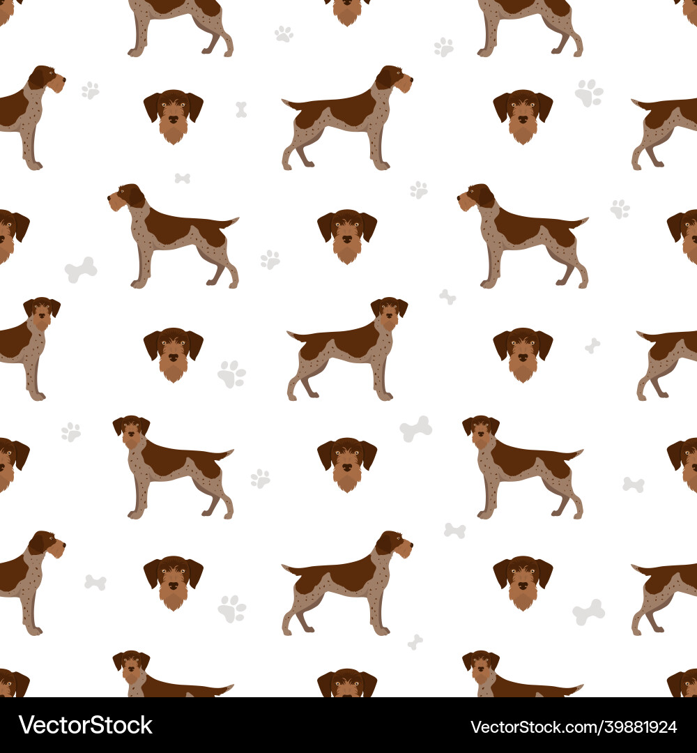 German Wirehaired Pointer Seamless Pattern vector image