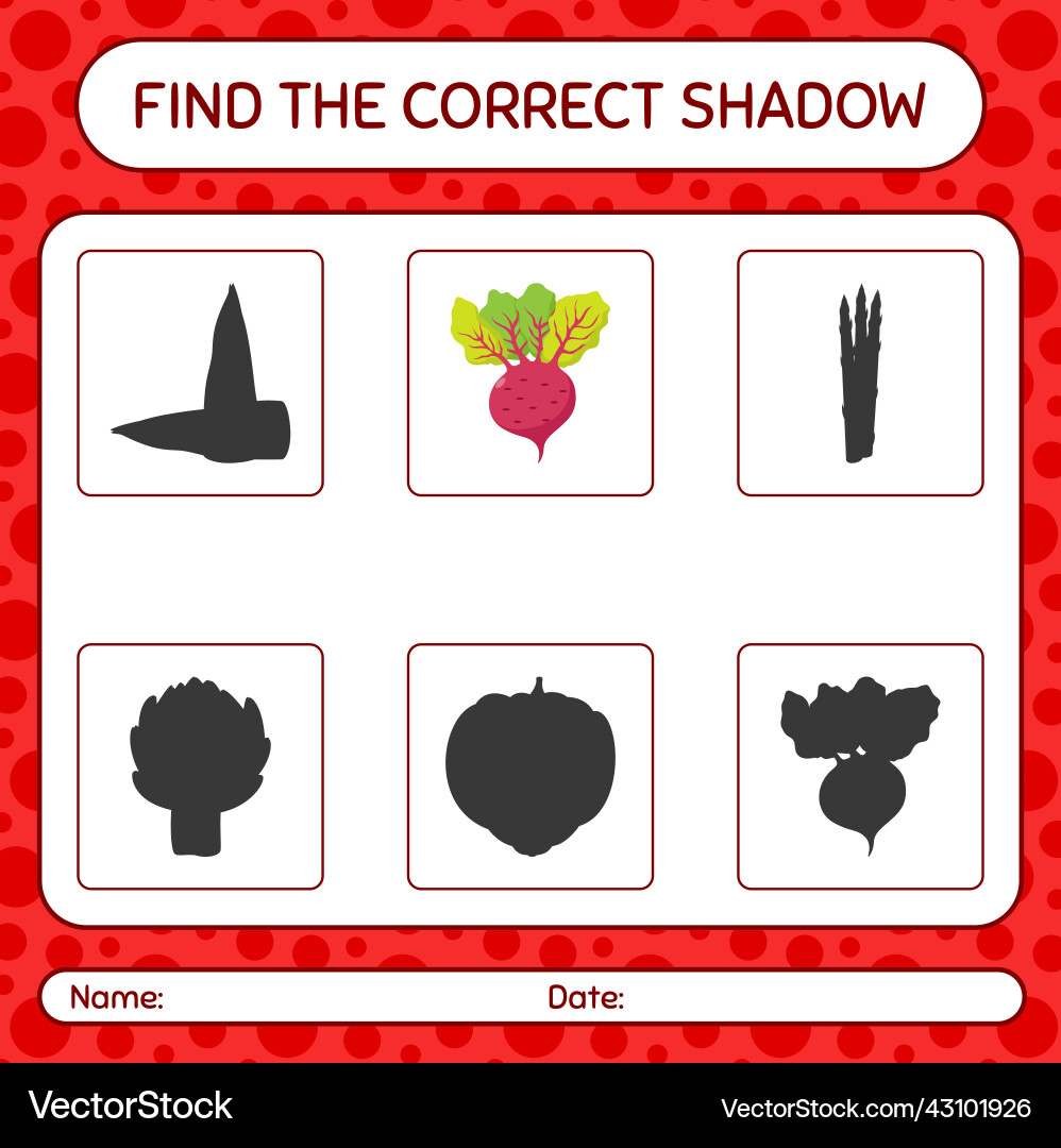 Find the correct shadows game with beet root vector image
