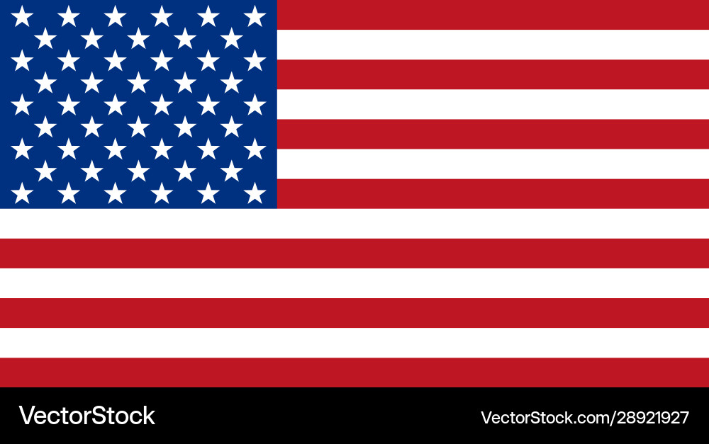 Flag united states america solid Flag united states america solid vector image