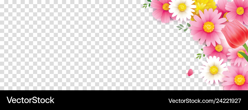 Hello spring flower frame with transparent vector image