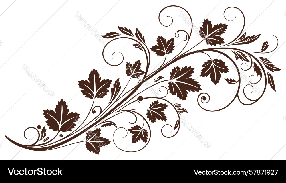Traditional grapevine scrollwork border design Vector Image