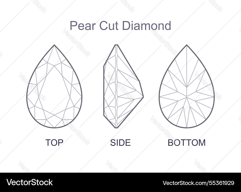 Pear cut precious gem top side and bottom views Pear cut precious gem top side and bottom views vector image