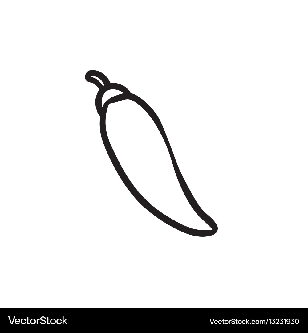 Chilli Sketch Icon - Isoliert Vektorbild