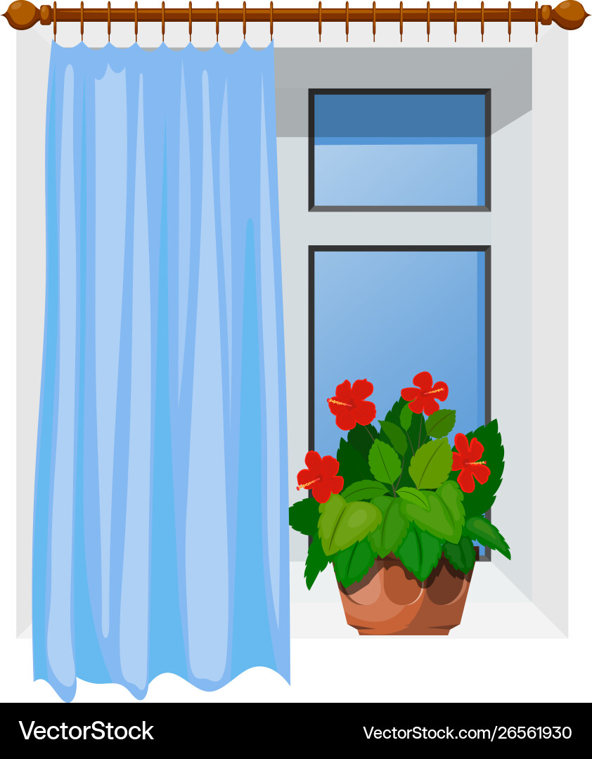 Color image cartoon style windows with curtains Vector Image