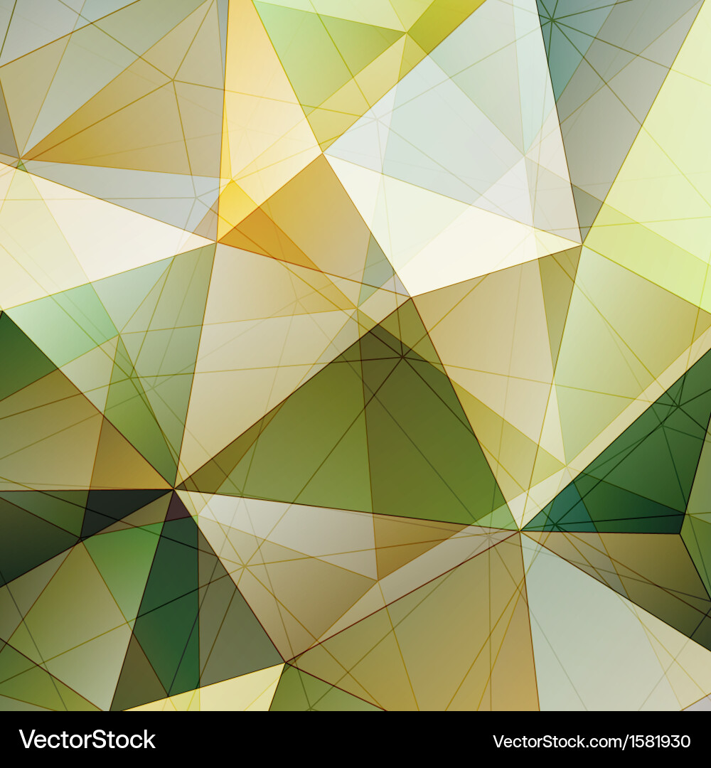 Geometric Triangle Pattern vector image