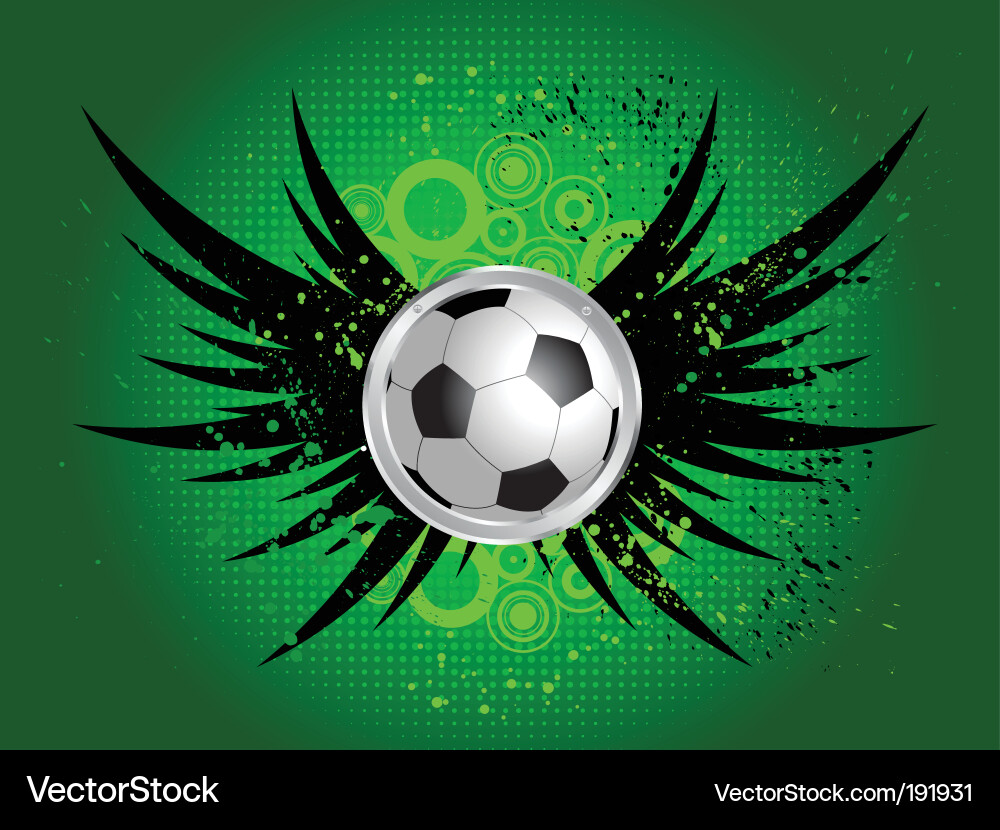 Football grunge wings Royalty Free Vector Image