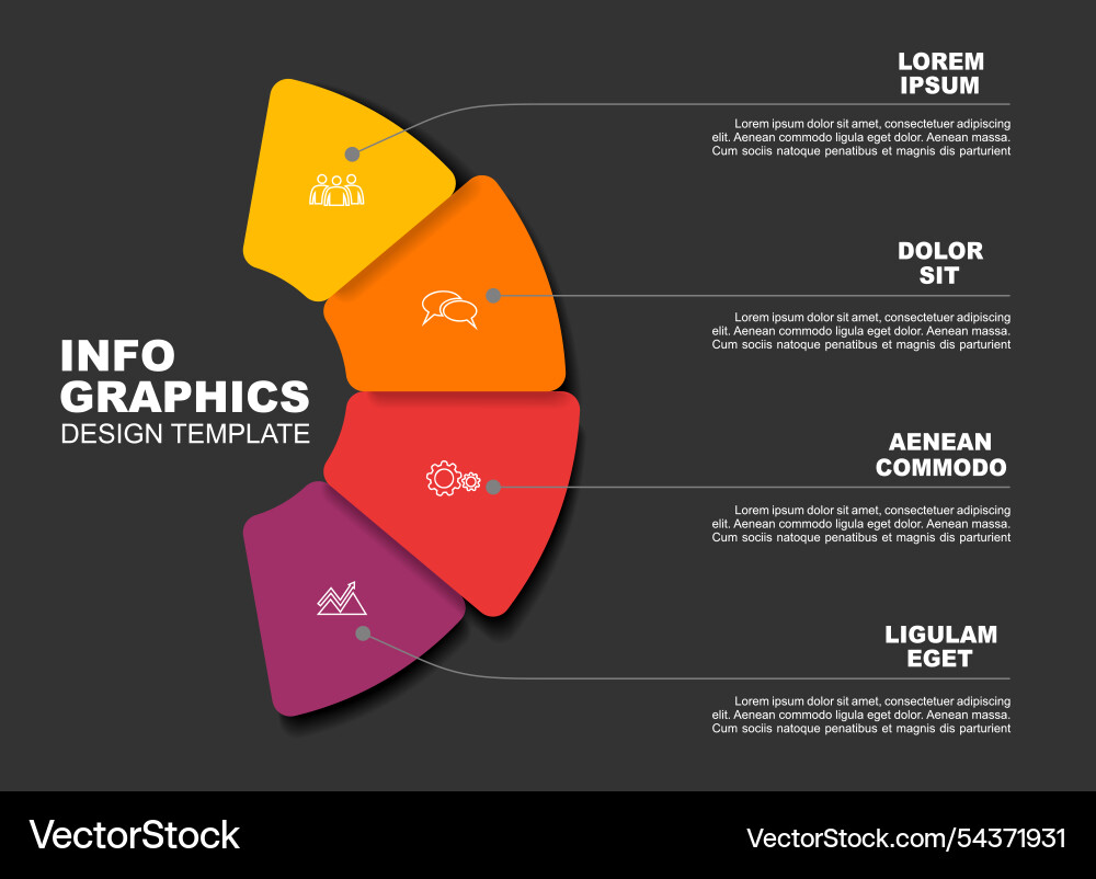Infographic Template with Circular Elements vector image