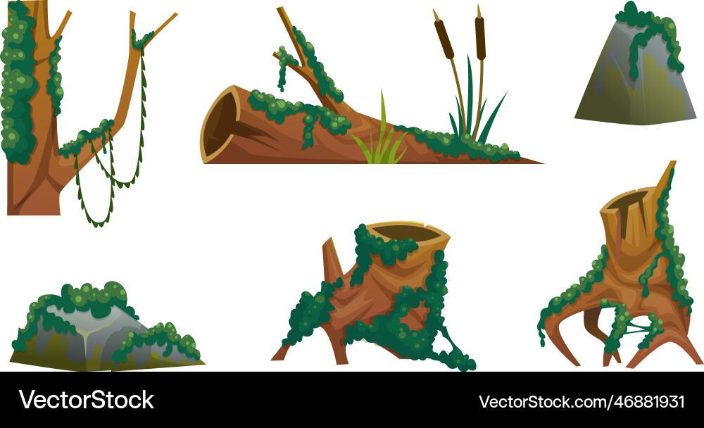 Moss cartoon green wood wild plants fungus Moss cartoon green wood wild plants fungus vector image