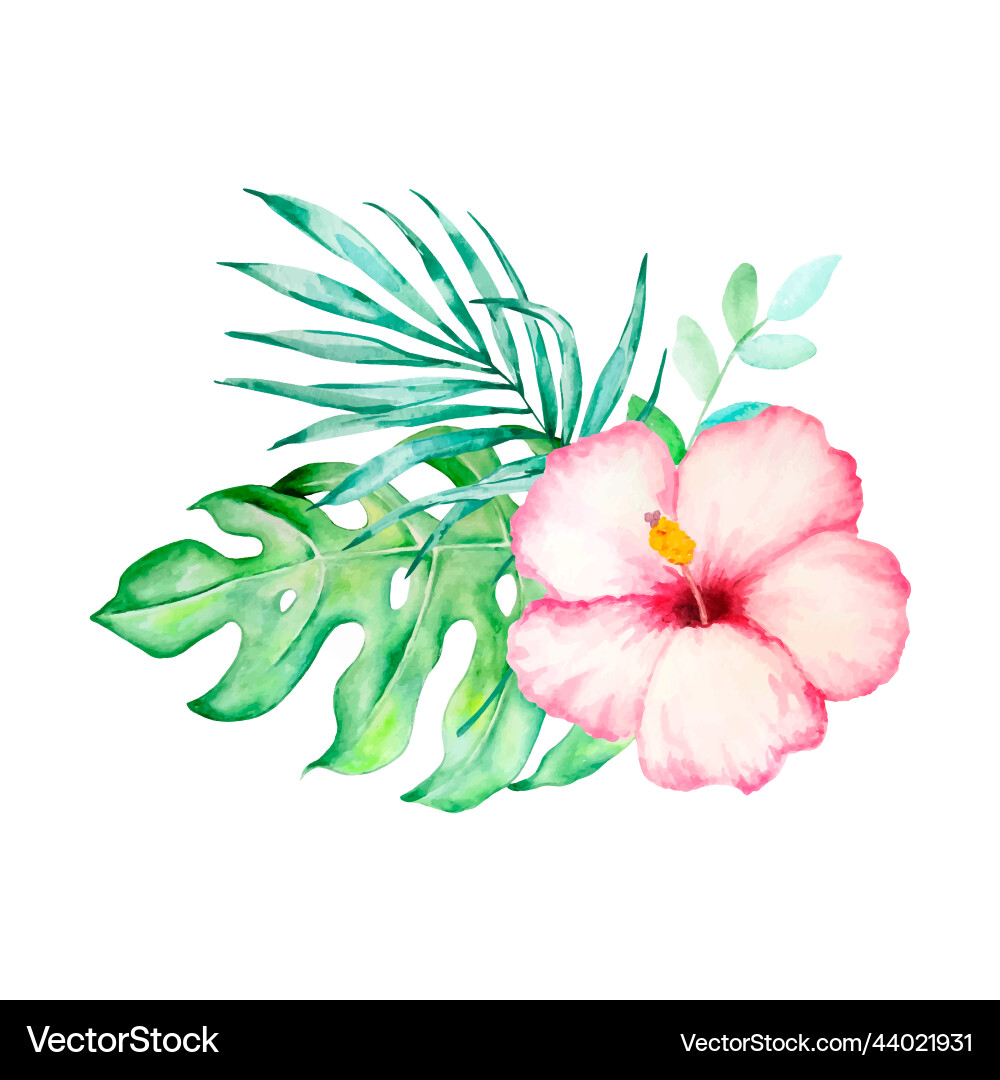 Watercolor tropical bouquet of hibiscus leaves Vector Image