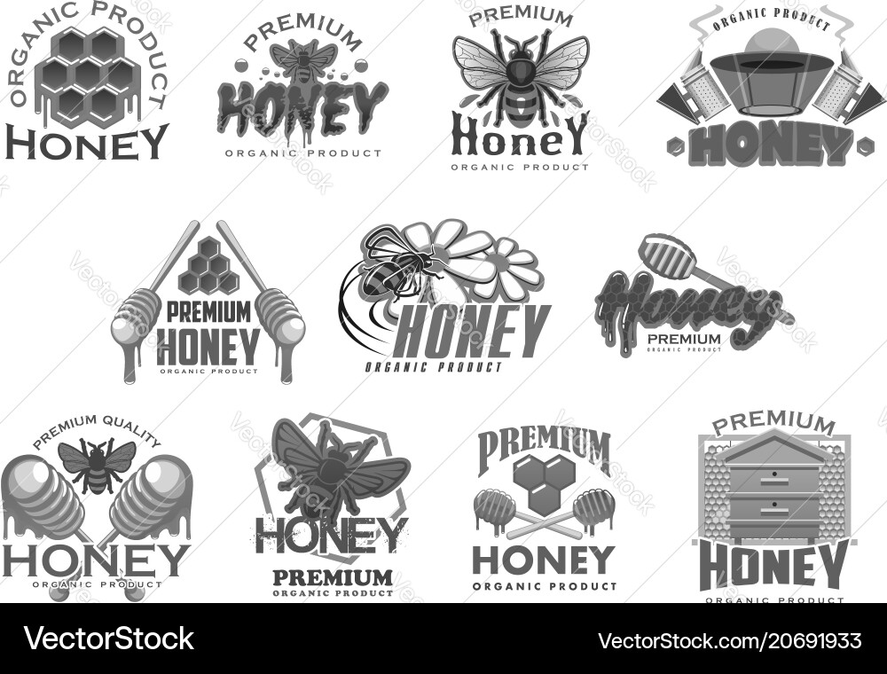 Honigbiene und Honecomb-Symbole Honigbiene und Honecomb-Symbole vektorbild