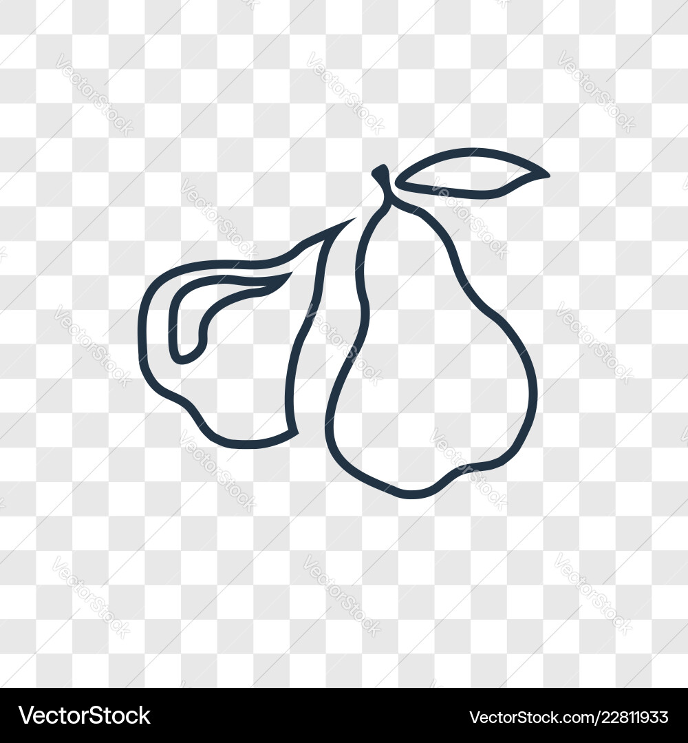 Pear concept linear icon isolated on transparent Pear concept linear icon isolated on transparent Vector Image