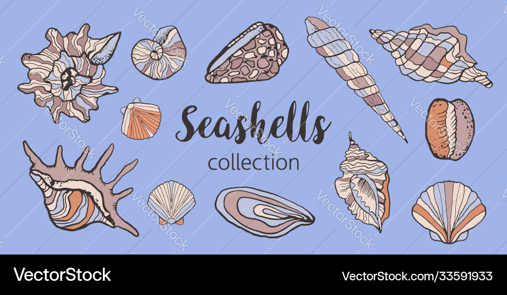 Set with seashells on a light background Set with seashells on a light background vector image