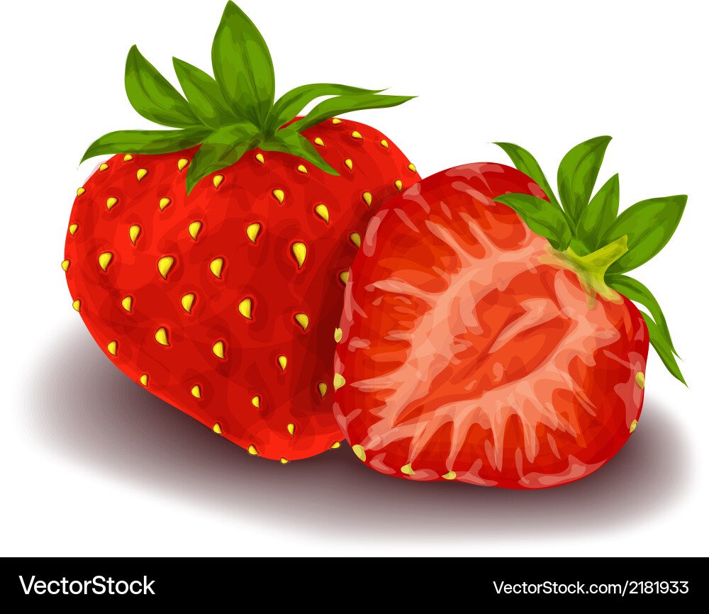 Strawberry isolated poster Royalty Free Vector Image