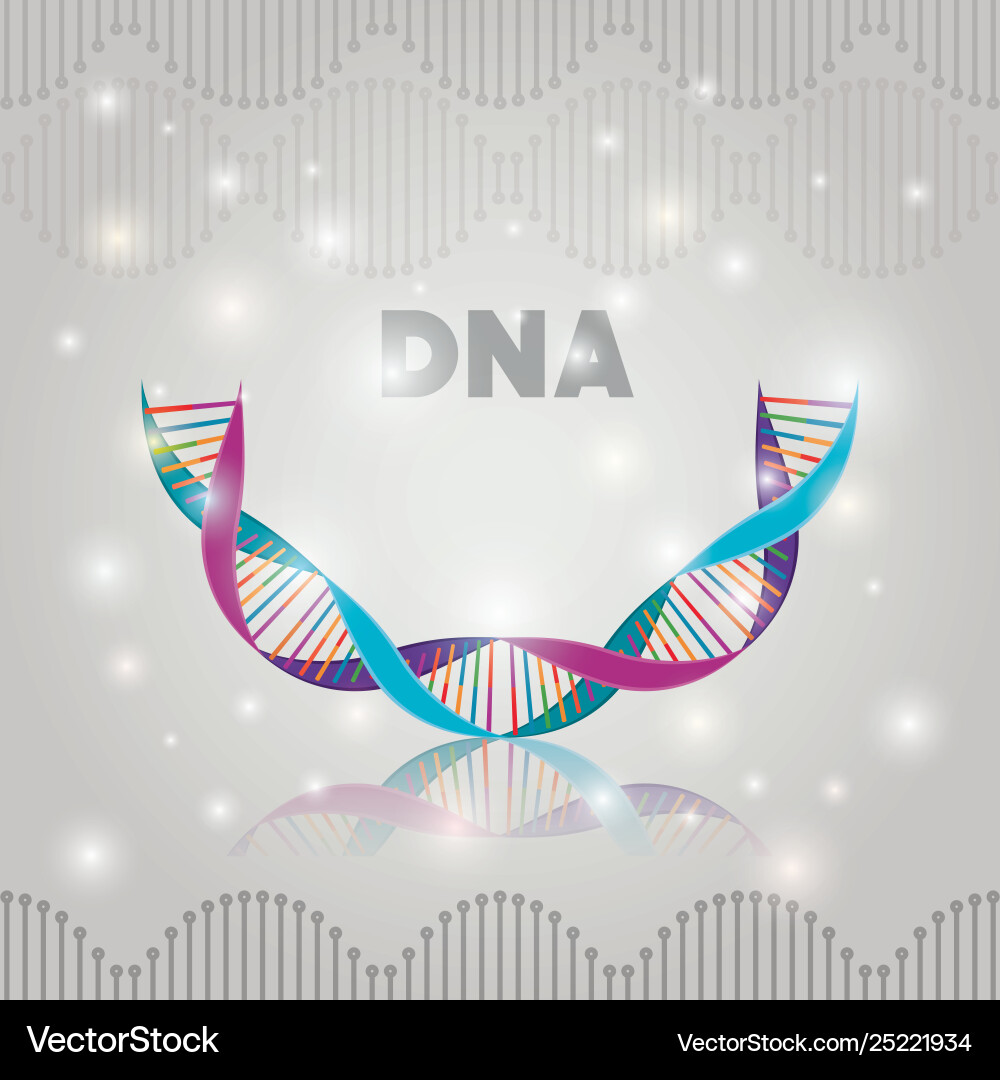 DNA Helix Structure - Double Helix Pattern vector image