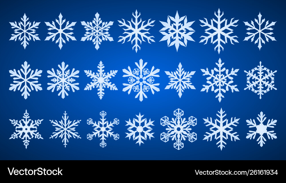 Elegant Snowflake Collection Vector Image