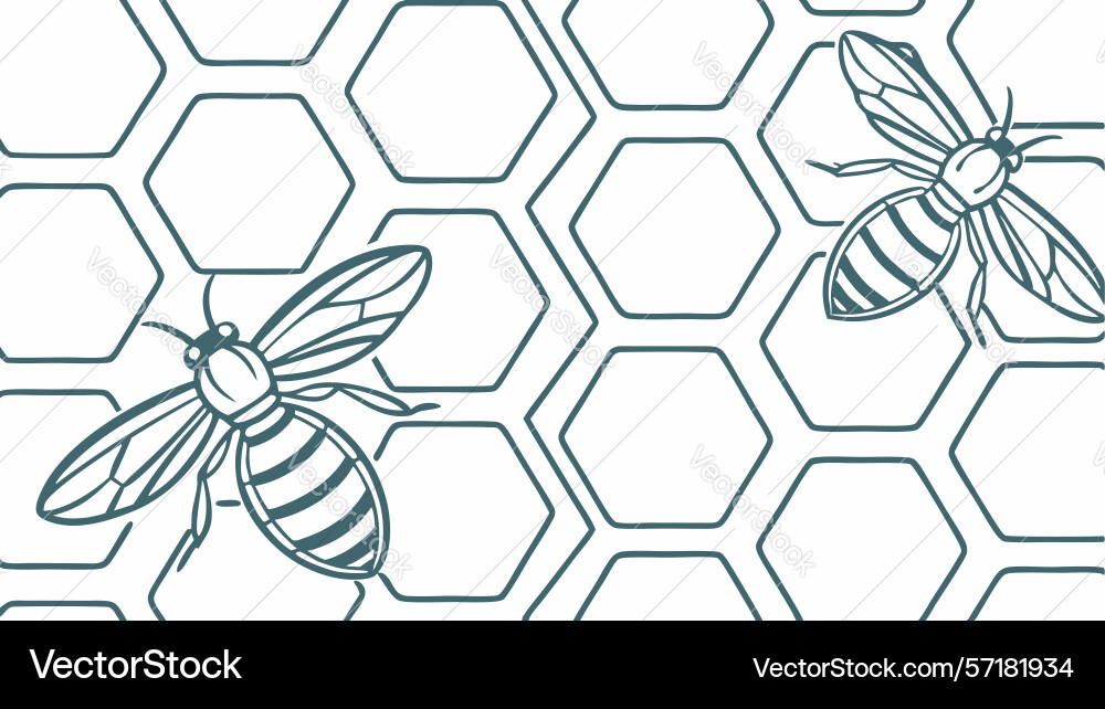 Honeycomb hexagonal pattern with bees nature Vector Image