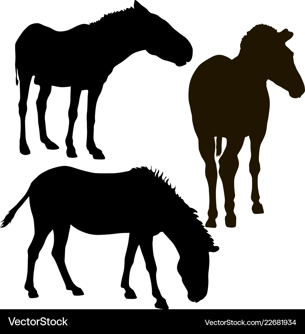 Set silhouette african zebra on a white background vector image