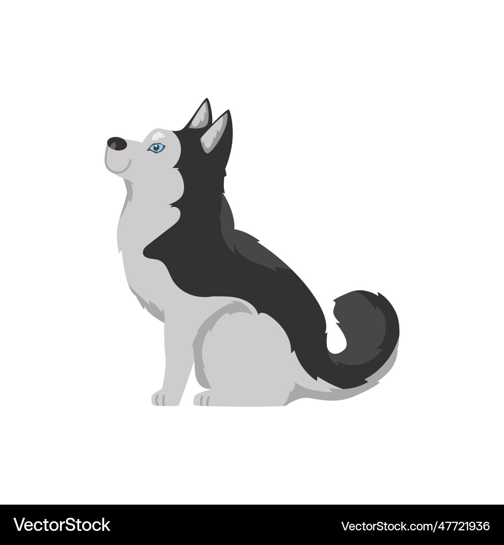 Cartoon siberian husky dog with blue eyes black Cartoon siberian husky dog with blue eyes black vector image