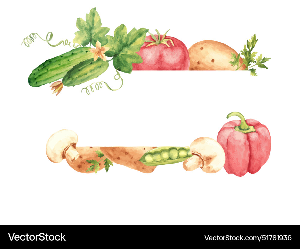 Vegetables horizontal frame border cucumbers Vegetables horizontal frame border cucumbers vector image