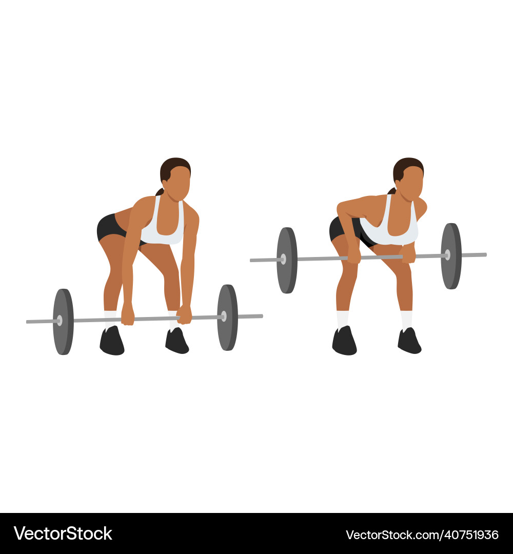 Woman doing bent over barbell row from floor Woman doing bent over barbell row from floor vector image
