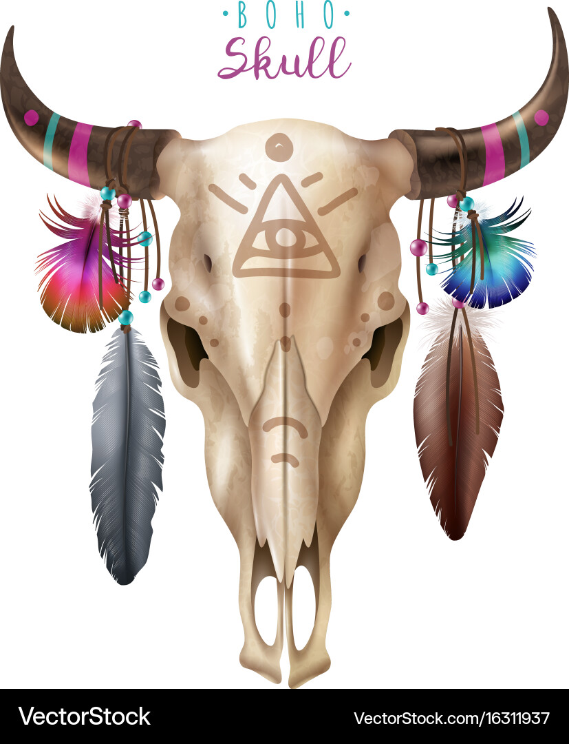 Boho cow skull Royalty Free Vector Image - VectorStock