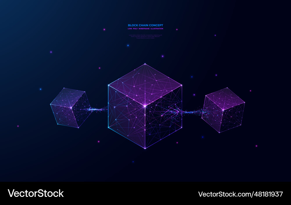 Futuristic Blockchain Network vector image