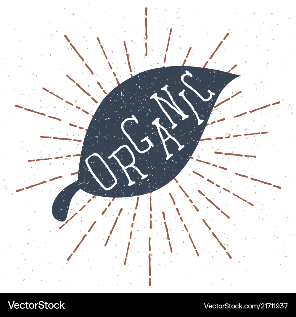 Hand drawn label with textured leaf and organic Hand drawn label with textured leaf and organic vector image