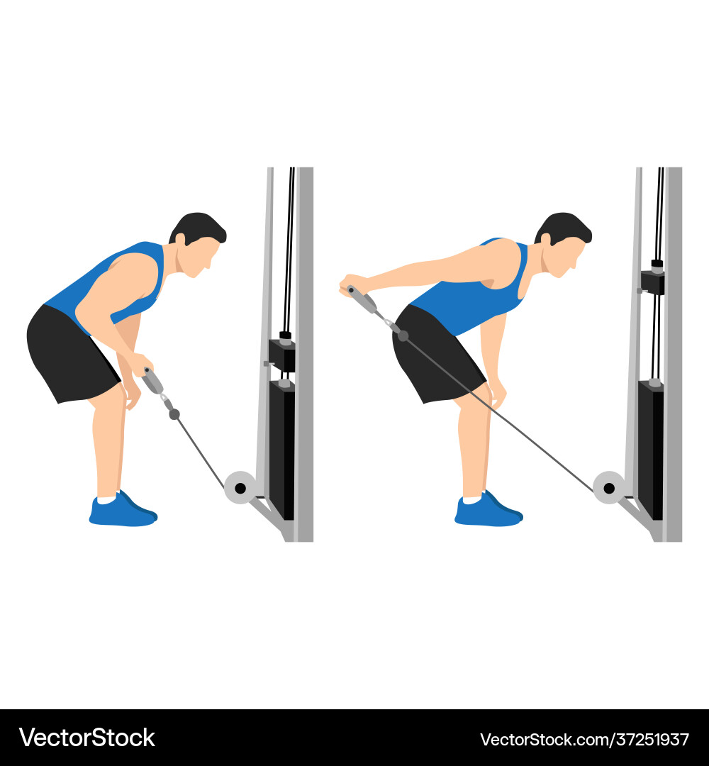 Man doing cable triceps kickbacks exercise Vector Image
