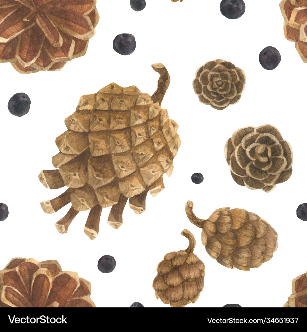 Pine and ceder cones seamless pattern vector image