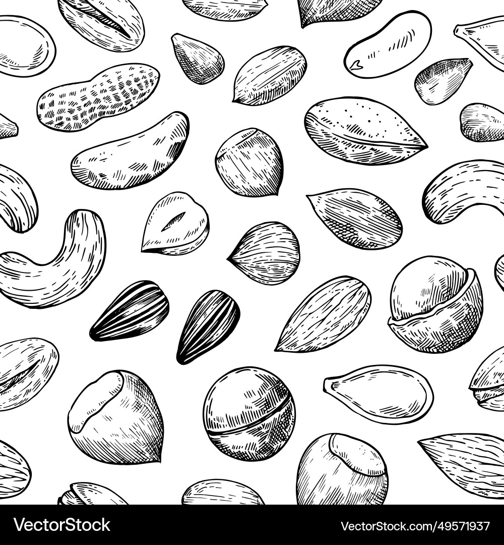 Seamless pattern with nuts and seeds sketch Vector Image