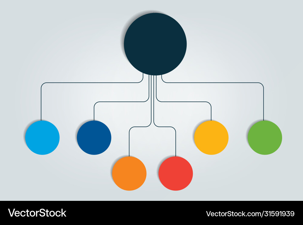 Mind map flowchart infographic vector image