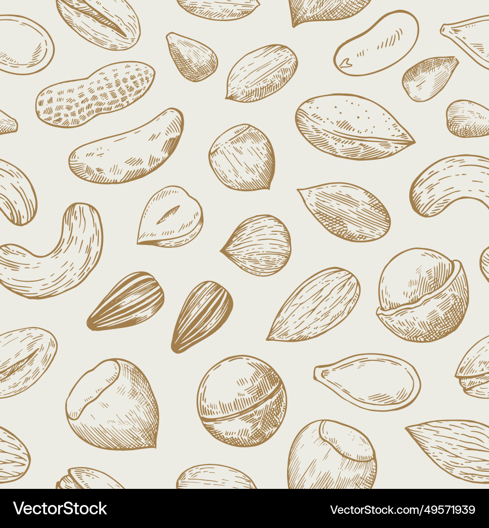Seamless pattern with nuts and seeds sketch Seamless pattern with nuts and seeds sketch Vector Image